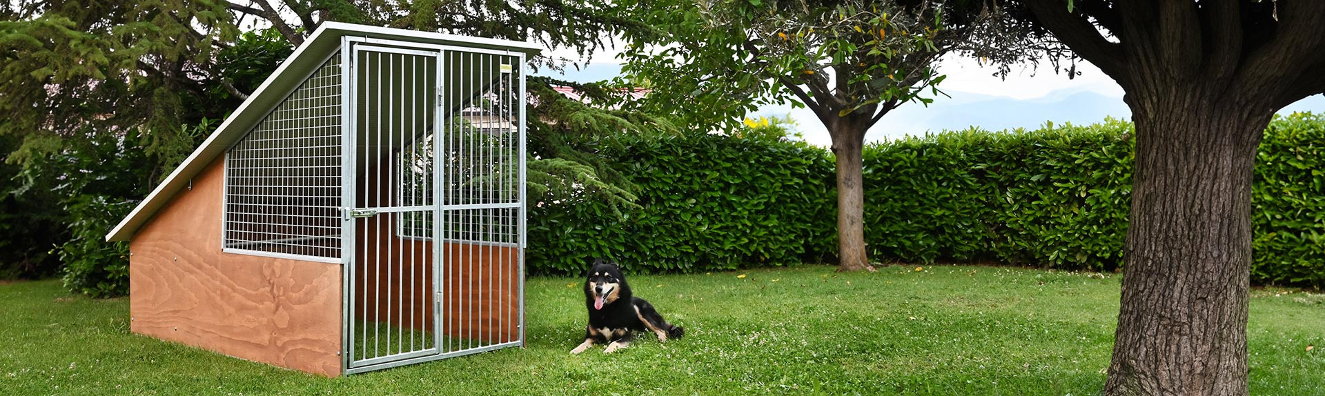 Box para perros mod. Labrador